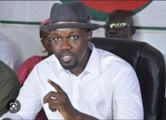 ACCIDENT DE KAFFRINE : Pour Sonko, c’est la « responsabilité principale des autorités publiques »