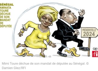 Le regard du caricaturiste Glez sur Mimi Touré évincée de son mandat de député