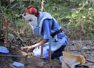 Casamance : Environ 1 million 500 mille m2 de terres à déminer