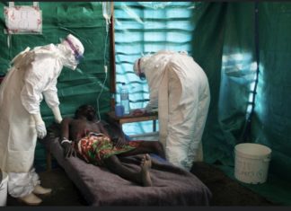AFRICA TIMES : Le virus de Marburg tue neuf personnes en Guinée Equatoriale
