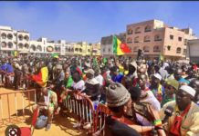 MÉGA MEETING DE MBACKÉ : Les militants de pastef envahissent déjà le boulevard « Ndoyenne »