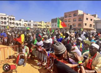 MÉGA MEETING DE MBACKÉ : Les militants de pastef envahissent déjà le boulevard « Ndoyenne »