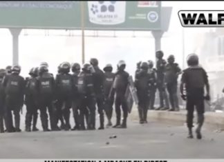 MÉGA MEETING DE MBACKÉ : Walf interdit de retransmettre les échauffourées