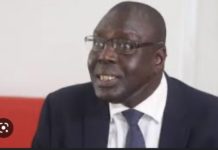PROPOS RACISTES DU PRÉSIDENT TUNISIEN : Boubacar Seye exhorte les pays africains à « menacer » la Tunisie