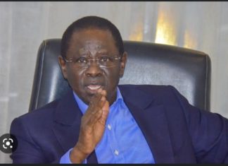 PRÉSIDENTIELLE 2024 : Pape Diop investi candidat par la coalition Bok guiss guiss