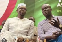 AFFAIRE SWEET BEAUTÉ : Malick Gakou réitère son soutien à Sonko