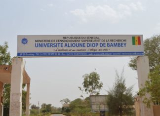 ENSEIGNEMENT SUPERIEUR : Le SAES de l’Université de Bambey décrète une grève illimitée à partir d’aujourd’hui