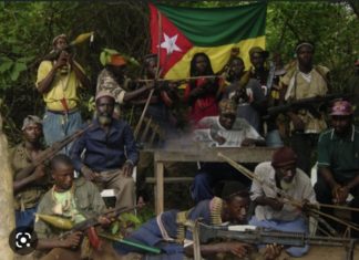 REBELLION EN CASAMANCE : La faction MFDC de Diakaye enterre la hache de guerre