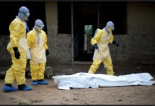 AFRICA TIMES : Selon le nouveau bilan de l’OMS, le virus de Marburg a fait 20 morts en Guinée Équatoriale