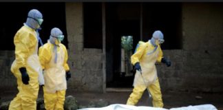 AFRICA TIMES : Selon le nouveau bilan de l’OMS, le virus de Marburg a fait 20 morts en Guinée Équatoriale
