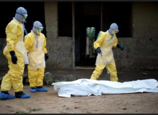 AFRICA TIMES : Selon le nouveau bilan de l’OMS, le virus de Marburg a fait 20 morts en Guinée Équatoriale