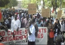 ÉDUCATION : Le Sadef entame une grève de 48h à partir de ce mercredi