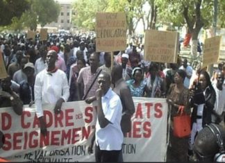 ÉDUCATION : Le Sadef entame une grève de 48h à partir de ce mercredi