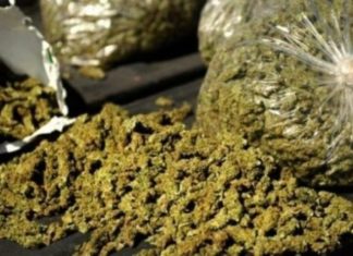 TRAFIC DE DROGUE : Arrêté avec 114 kg de drogue, le chauffeur de « clando » risque 10 ans de prison ferme