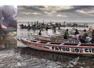JUSTICE-CONFLIT ENTRE PECHEURS: L’avocat de l’Association nationale des pêcheurs mono-filament du Sénégal étale sa démarche juridique