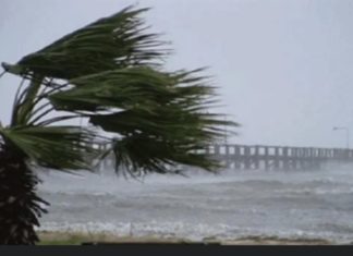 MÉTÉO : L’ANACIM annonce un vent fort sur toute la côte sénégalaise jusqu’au mercredi