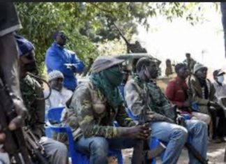 REBELLION EN CASAMANCE : Des combattants du MFDC enterrent définitivement la hache de guerre