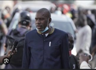 CARAVANE DE SONKO: Son chef de protocole arrêté à Mbour