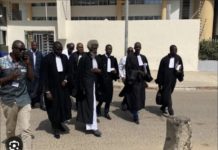 PROCÈS SONKO VS ADJI SARR : Les avocats de Sonko en conférence de presse