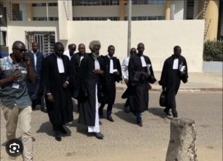 PROCÈS SONKO VS ADJI SARR : Les avocats de Sonko en conférence de presse