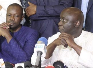 SORTIE DE SONKO SUR WALF TV : Le leader du Pastef dément « ndamal cadior »