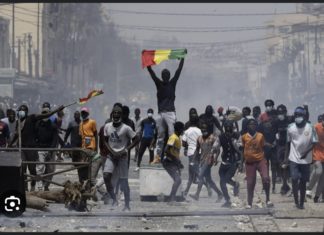 PROCÈS SONKO VS ADJI SARR : Des jeunes de la banlieue sécurisent leurs quartiers