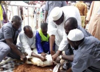 TABASKI 2023 : La CONACOC dévoile la date de l’Aïd el-Kebir au Sénégal