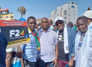 Manifs F24 : Thierno Alassane Sall bande les muscles