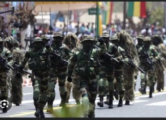 RAPPEL À L’ACTIVITÉ DES MILITAIRES LIBÉRÉS : L’ARMÉE APPORTE DES PRÉCISIONS