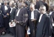 INTERDICTION DES AVOCATS DE SONKO DE VOIR LEUR CLIENT : L’Ordre des avocats hausse enfin le ton !