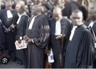 INTERDICTION DES AVOCATS DE SONKO DE VOIR LEUR CLIENT : L’Ordre des avocats hausse enfin le ton !