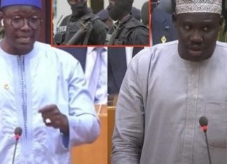 Députés-boxeurs du PUR, Massata Samb et Ibrahima Niang : Le verdict en appel ce lundi