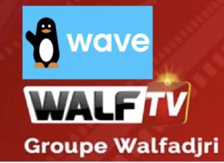 MÉDIAS : La cagnotte lancée en faveur de Walf suspendue