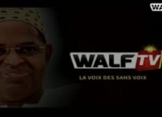 DIFFUSION DES MANIFESTATIONS : Le signal de Walf coupé sur la TNT