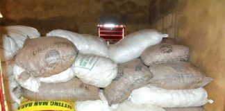 Vol de 20 tonnes de cyanure : 10 personnes interpellées à Kédougou