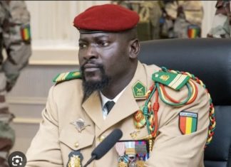 AFRICA TIMES : La Guinée suspend sa participation à l’OMVS