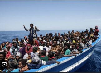 DISPARITION DE MIGRANTS : Greenpeace Afrique dénonce l’impact de l’exploitation néo-coloniale des ressources