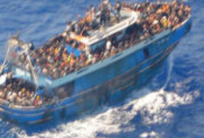 migrants-5-905x613