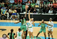 FINALE AFROBASKET FÉMININ : Le Nigéria bat le Sénégal et remporte son sixième titre continental