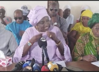 INTERVENTION MILITAIRE AU NIGER : Les conseils de Mimi Touré à la CEDEAO