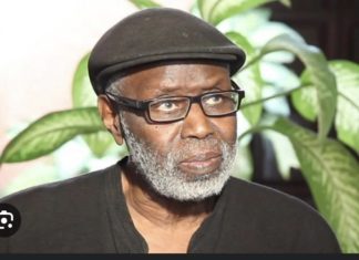 NÉCROLOGIE : Décès du linguiste-éditeur Pathé Diagne