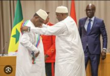 BANJUL : Macky Sall appelle à « intensifier la lutte contre la coupe et le trafic illicites de bois »