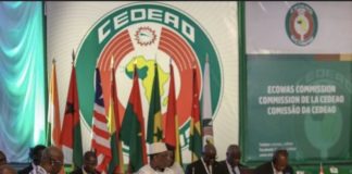 COUP D’ÉTAT AU NIGER : La Cedeao confirme l’option militaire