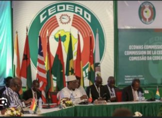 COUP D’ÉTAT AU NIGER : La Cedeao confirme l’option militaire