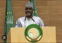 AFRICA TIMES : L’Union africaine rejette toute intervention militaire au Niger