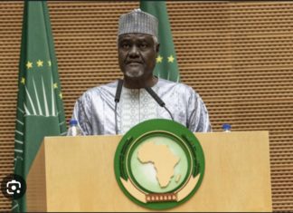 AFRICA TIMES : L’Union africaine rejette toute intervention militaire au Niger