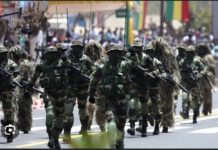 INTERVENTION AU NIGER : L’Armée sénégalaise sonne la mobilisation