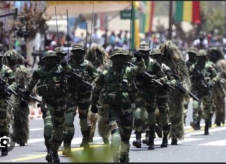 INTERVENTION AU NIGER : L’Armée sénégalaise sonne la mobilisation
