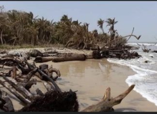 OUSSOUYE : L’avancée de la mer menace d’emporter Diémbéring