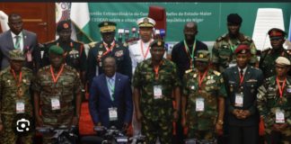 NIGER : La force de la Cedeao prête à intervenir